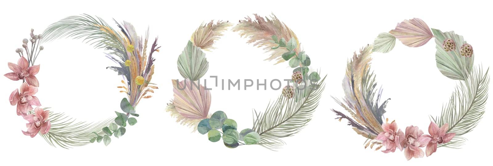 set of watercolor round frames with orchids and dry palm leaves and eucalyptus branch for cards and packaging design isolated on white background
