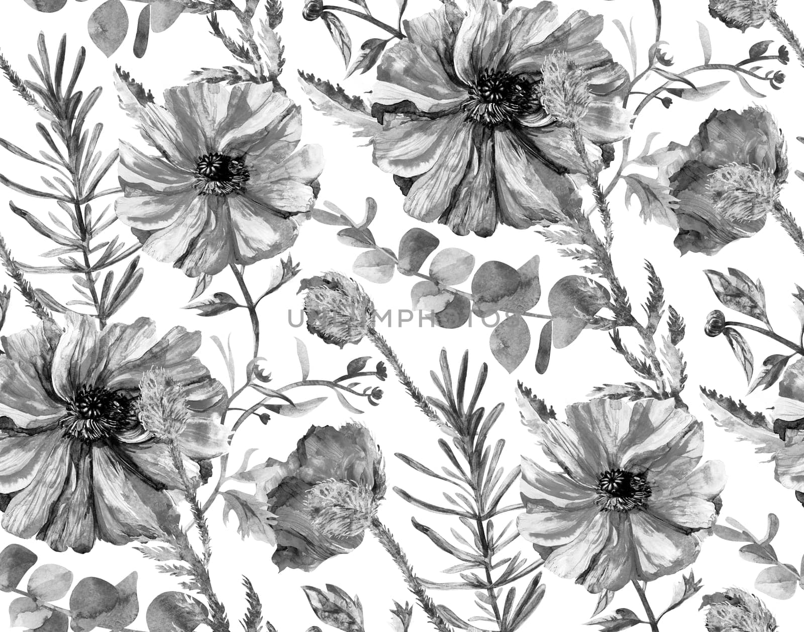 Black and white realistic seamless pattern with poppy flowers on a white background painted in watercolor in vintage style for textile and surface design
