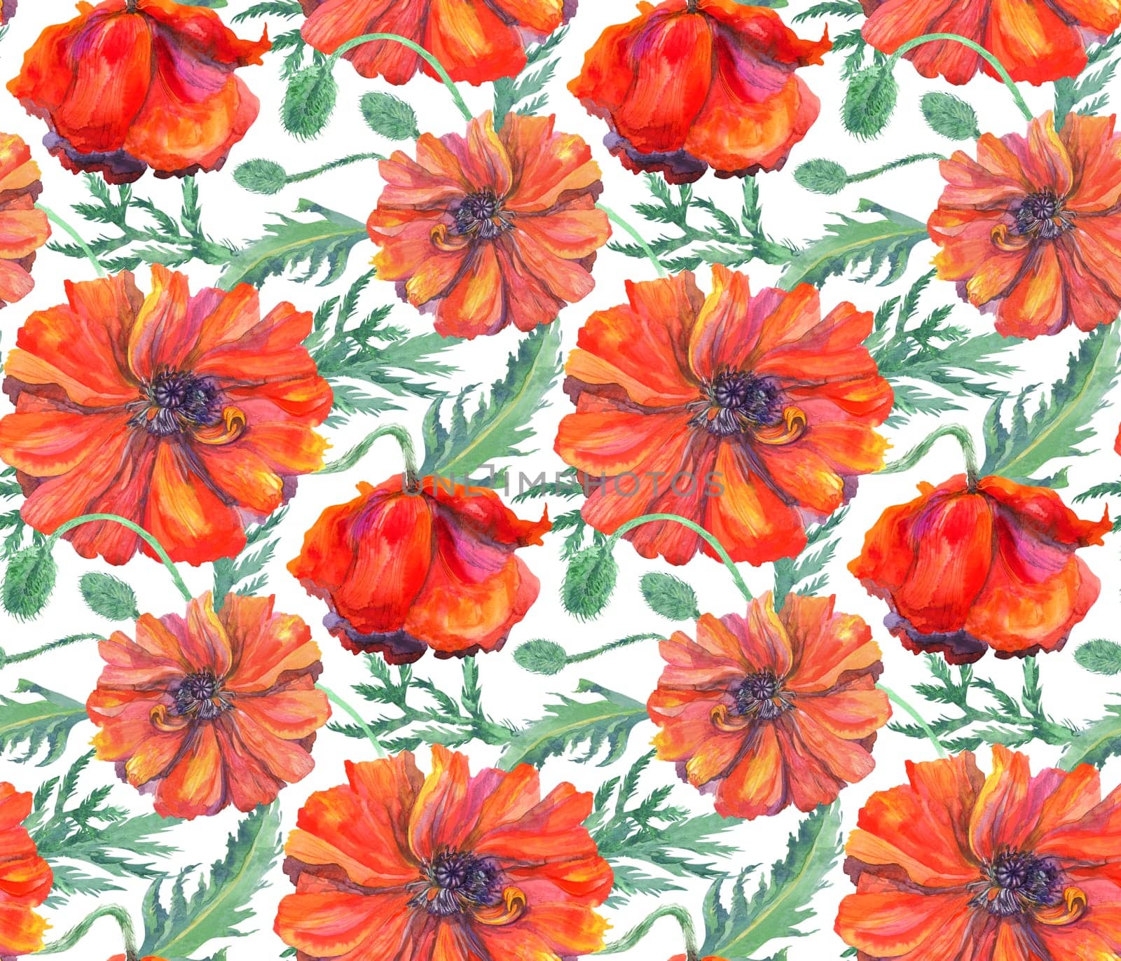 watercolor seamless pattern with red poppies on a white background for surface design and textiles as well as stationery