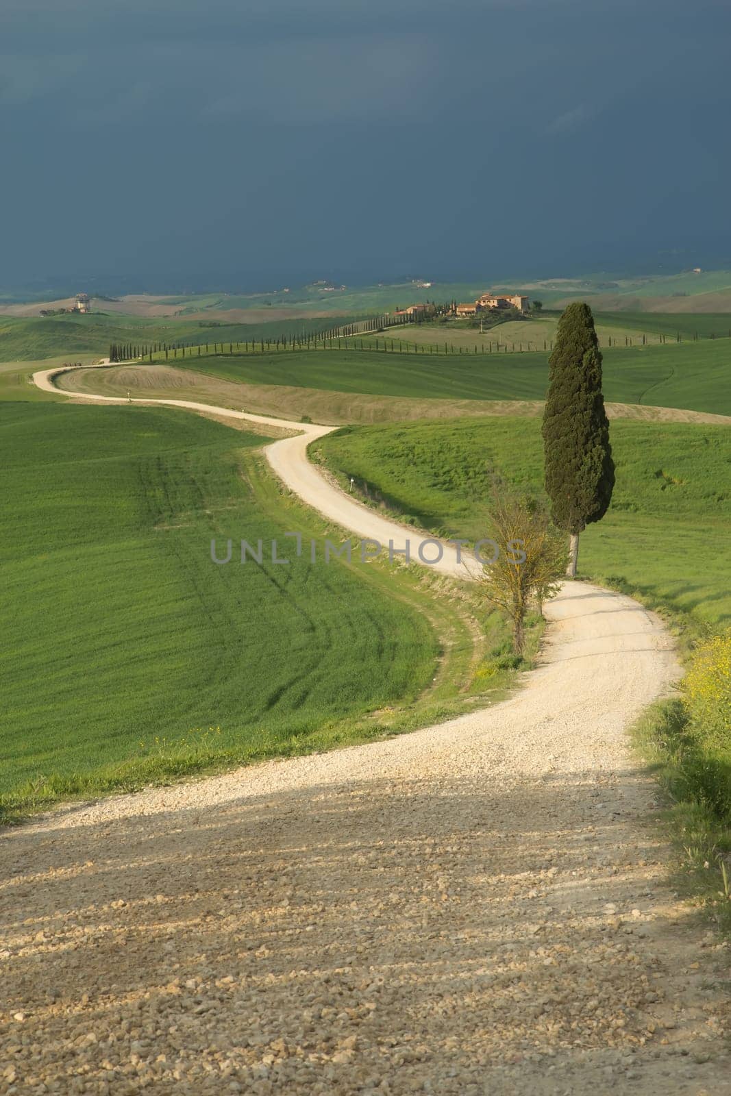 Dusty road through the rolling Tuscan countryside. Storm dark sky in the background. .
