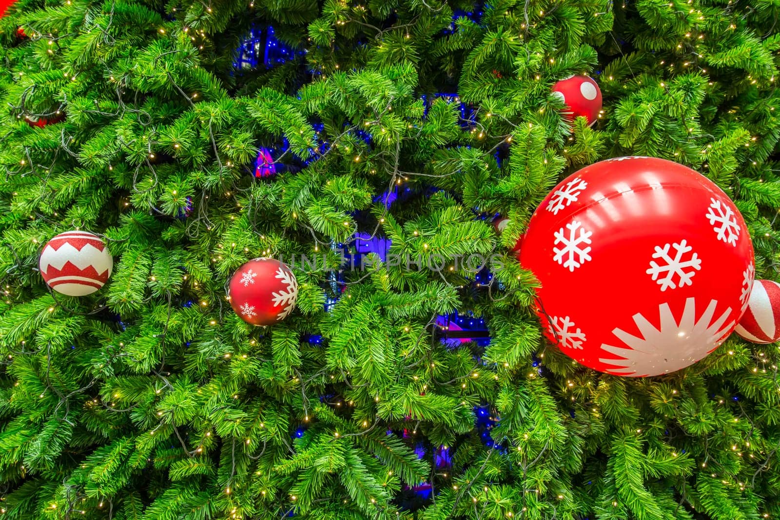 Close-up shot chrismas tree for background.