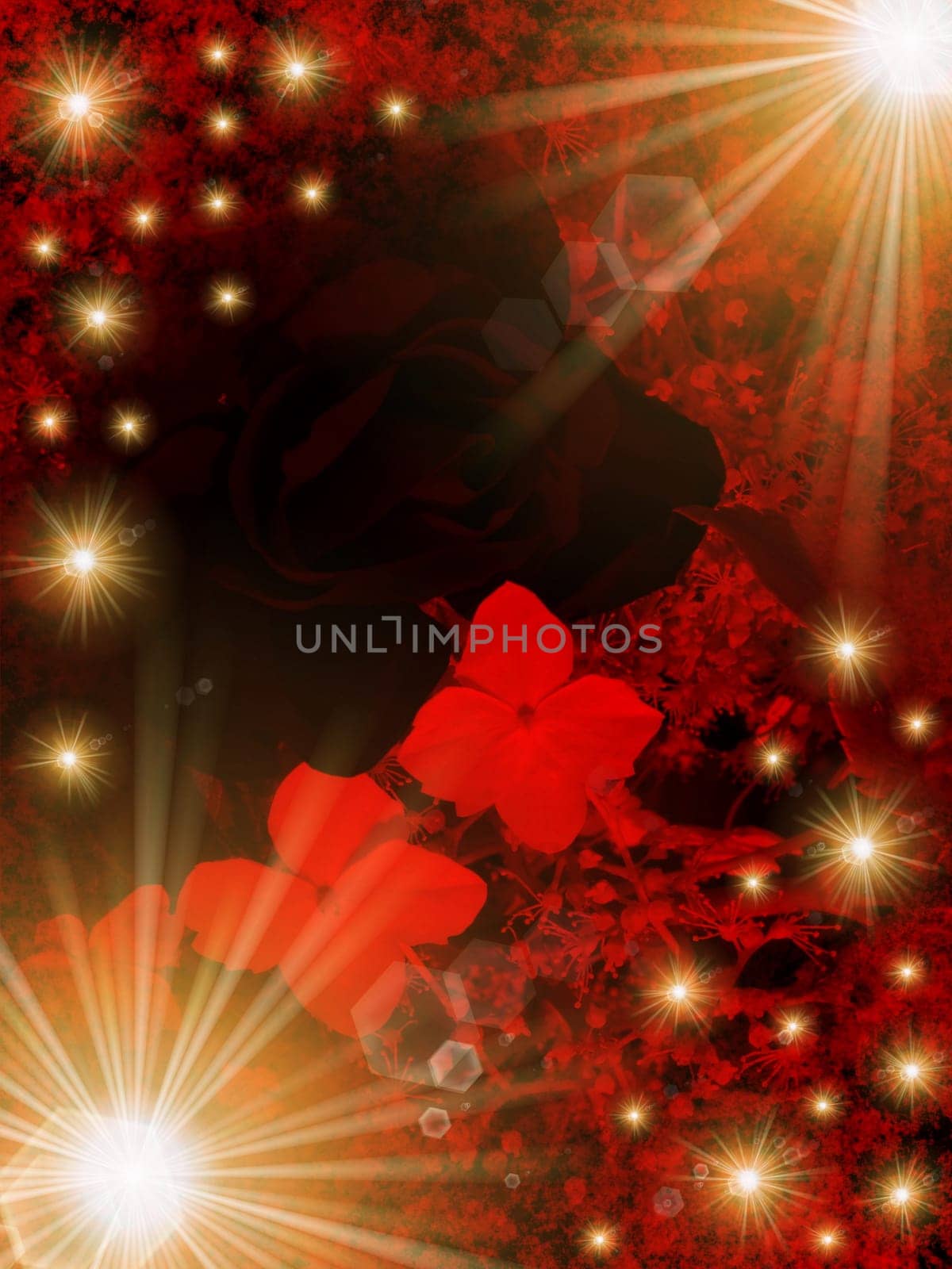 festiv abstract flower