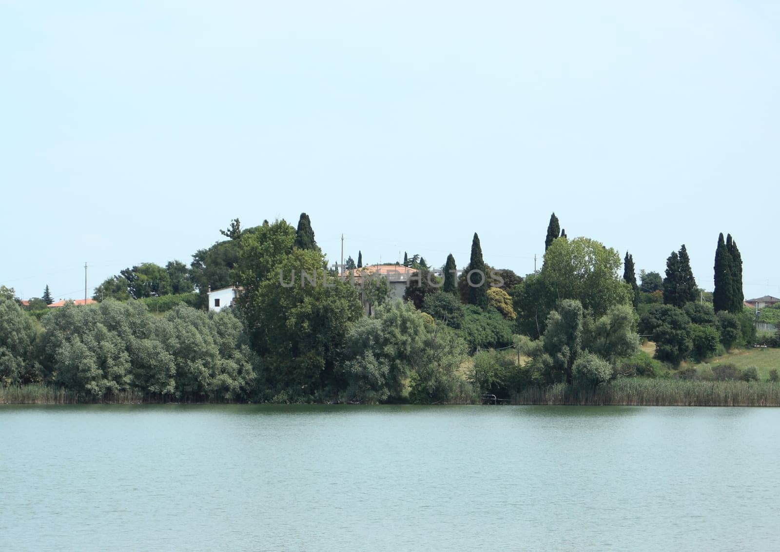 Hidden house in forest with lake view