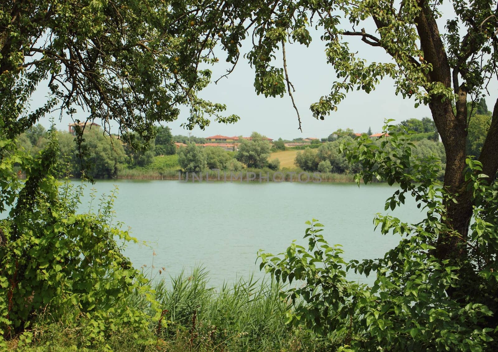 View at fields and houses though a frame of trees