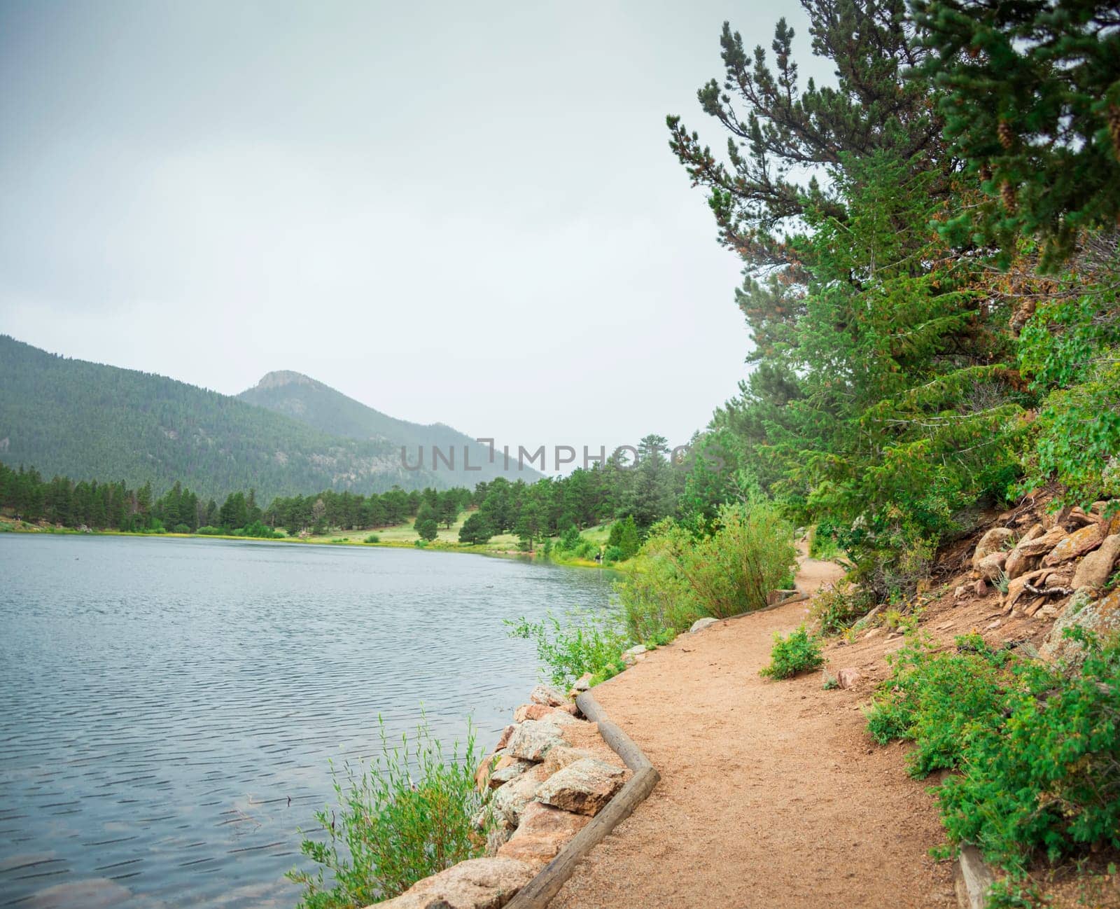 Nature Trail in Colorado in the Summer.