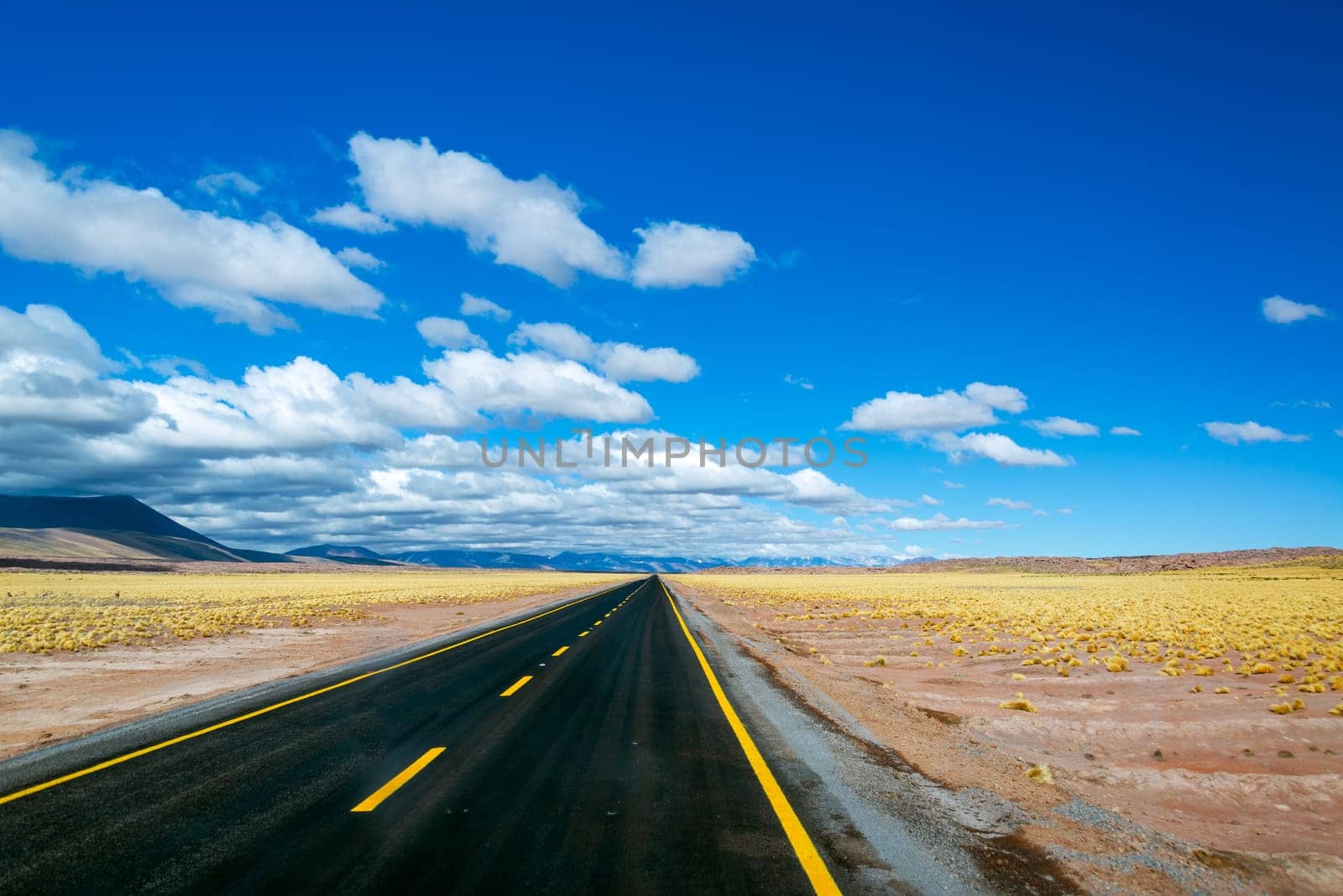 Highway near San Pedro de Atacama in Chile
