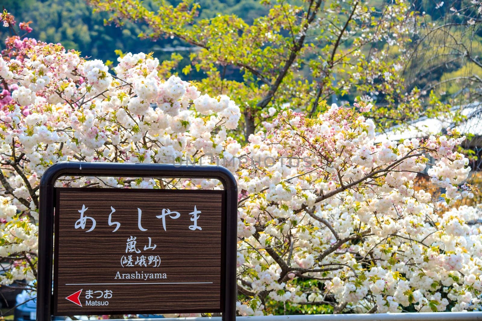 Kyoto, Japan - April 14, 2013