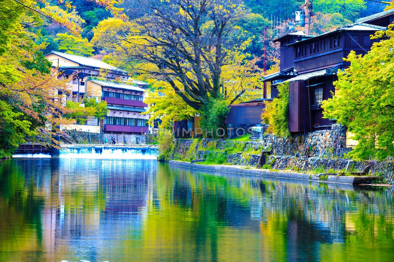 Cherry blossom in Arashiyama, Kyoto, Japan. Japanese view
