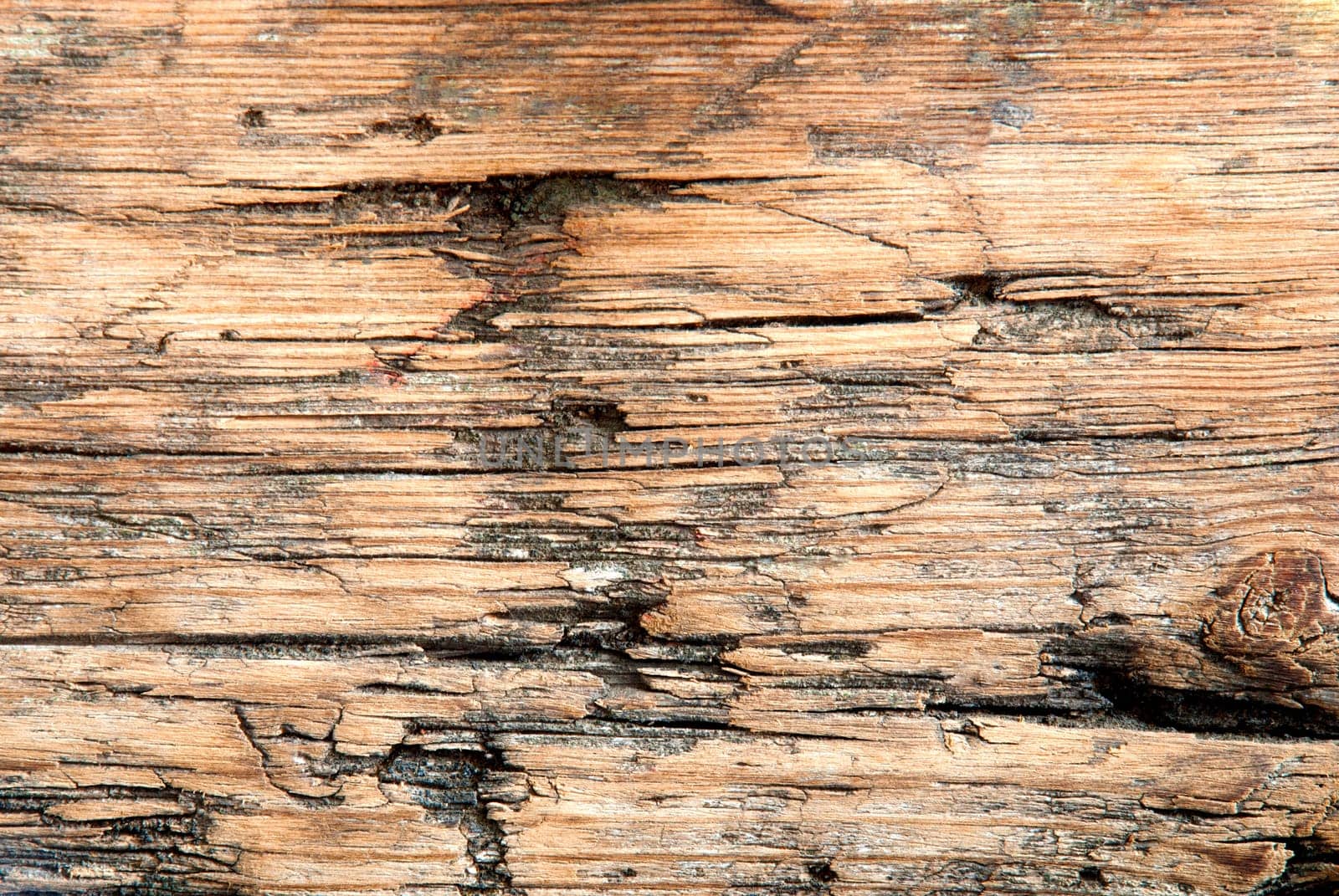 Wooden Texture, Seamless Wood Background, Old Plank