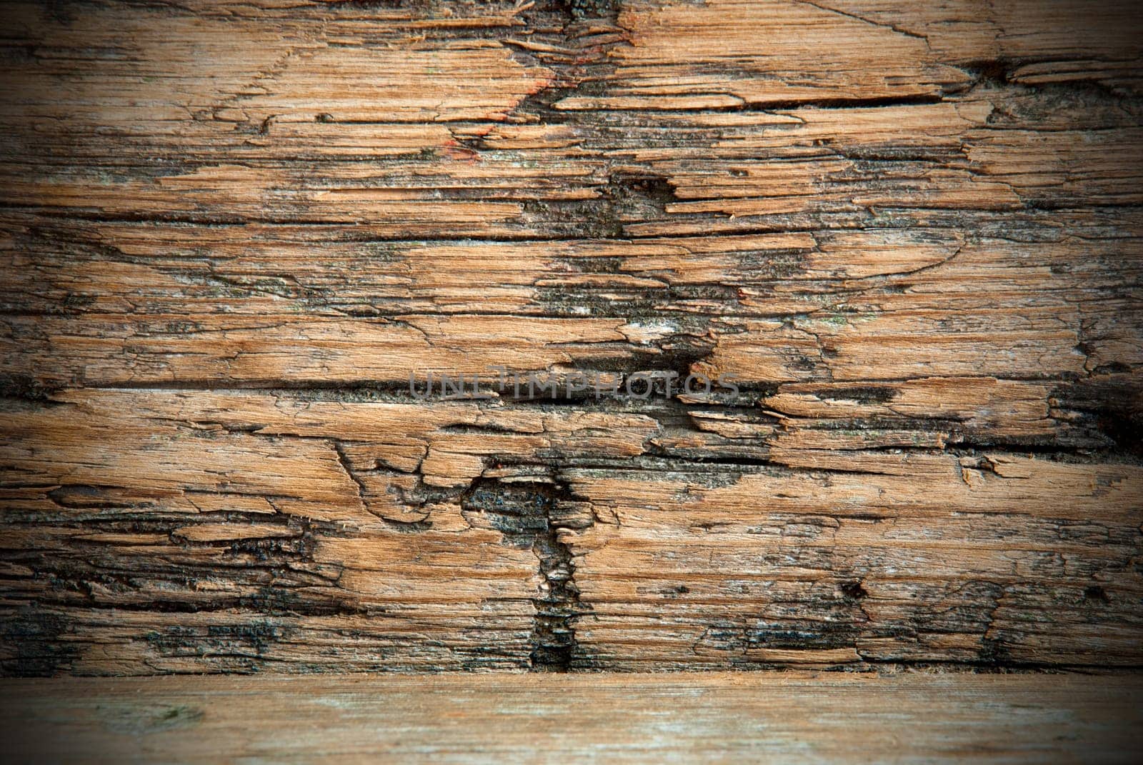 Grungy Wood Background or Texture, Old Plank