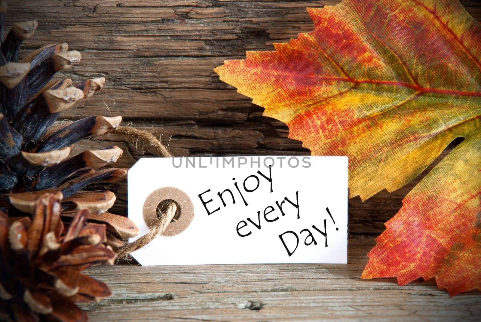 An Autumn Label with the Words Enjoy every Day, on Wood