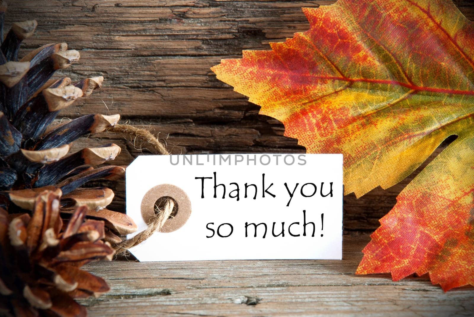 An Autumn Tag with the Words Thank You so much, on Wood