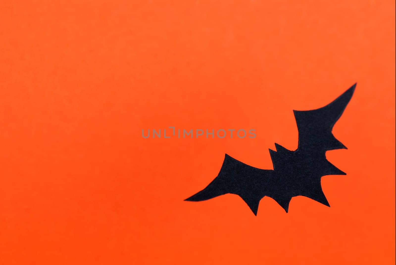 Orange Halloween Background with Black Bat and Copy Space