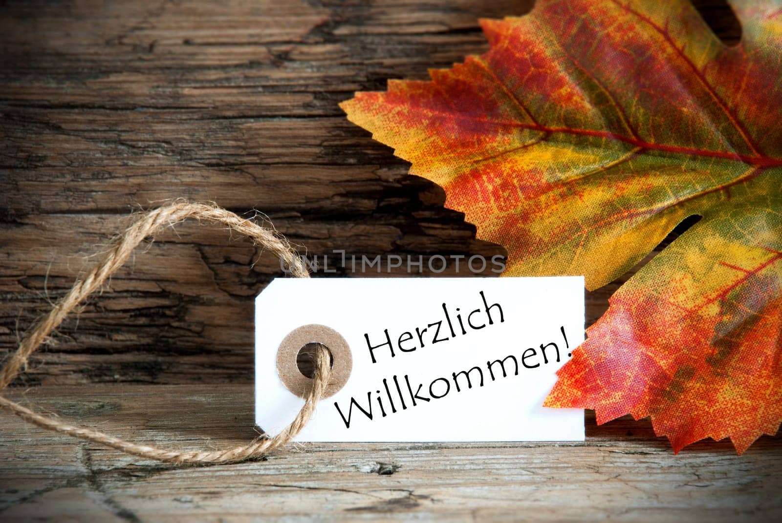 Autumn Background with Label with the German Words Herzlich Willkommen, which means Welcome