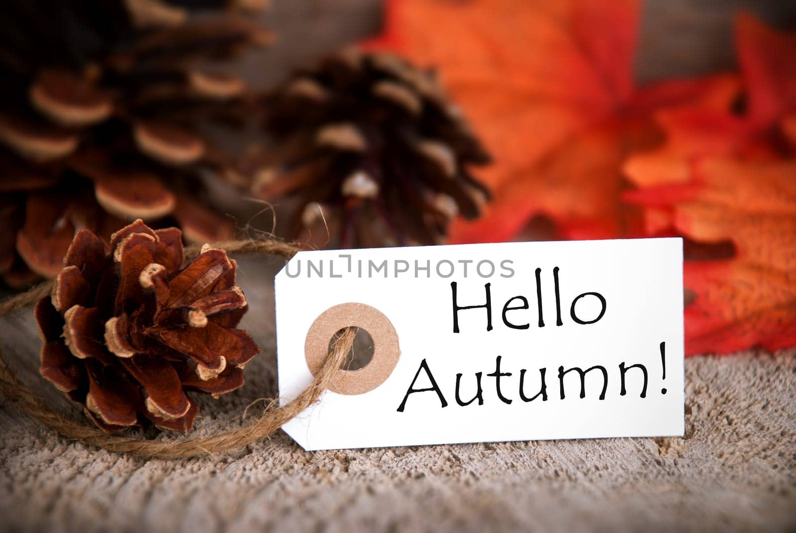 Label with the Words Hello Autumn and Autumn Leaves in the Background