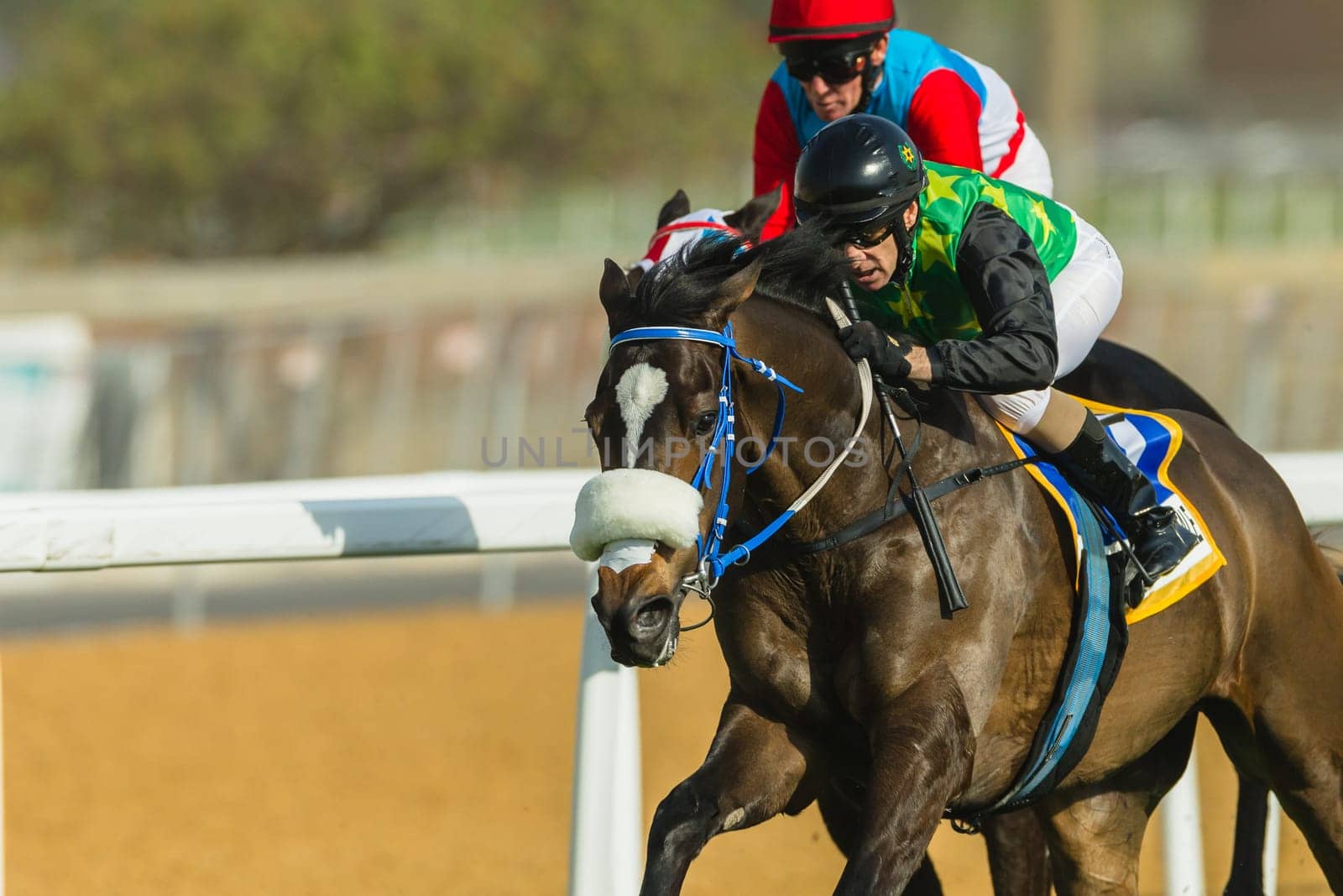 Horse racing action of jockeys races at Greyville racecouse sand and grass for Durban July vodacom cup.
