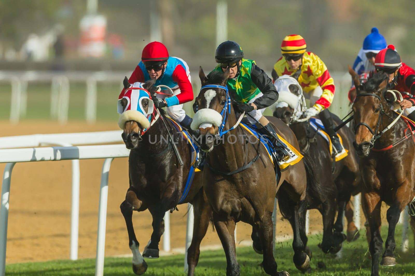 Horse racing action of jockeys races at Greyville racecouse sand and grass for Durban July vodacom cup.