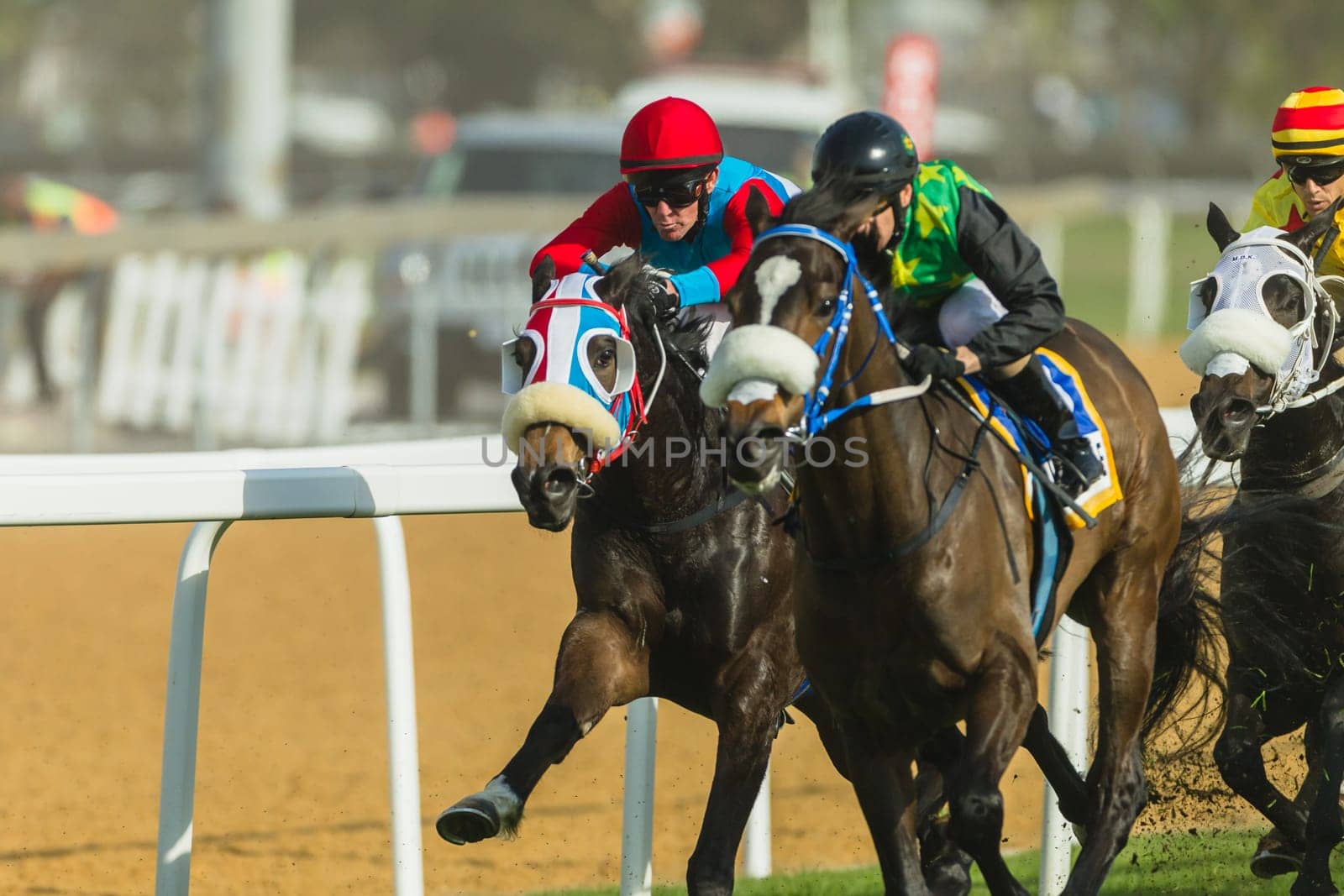 Horse racing action of jockeys races at Greyville racecouse sand and grass for Durban July vodacom cup.