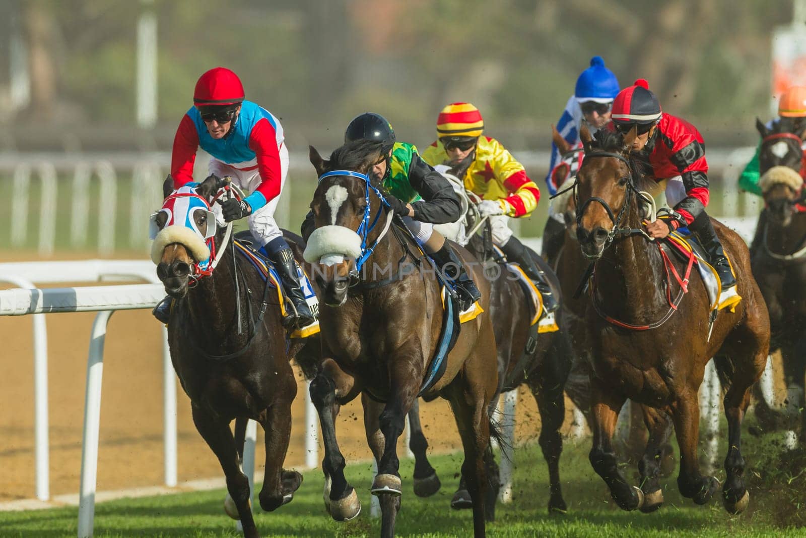 Horse racing action of jockeys races at Greyville racecouse sand and grass for Durban July vodacom cup.