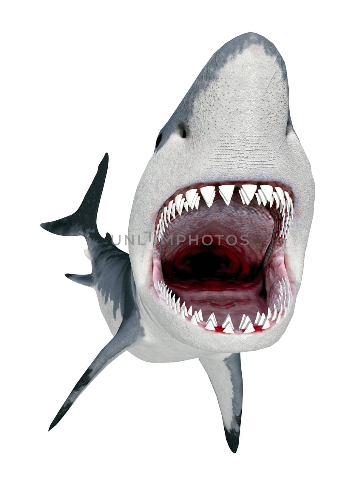 Computer-generated 3D illustration with a great white shark isolated on white background