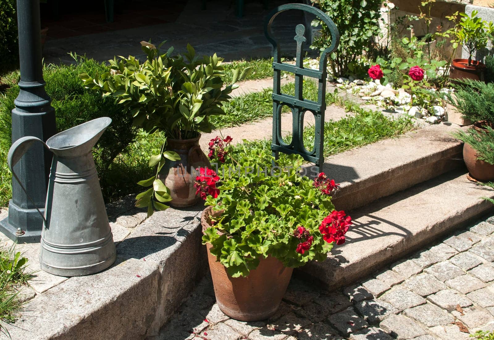 Corner of beautiful home garden details closeup