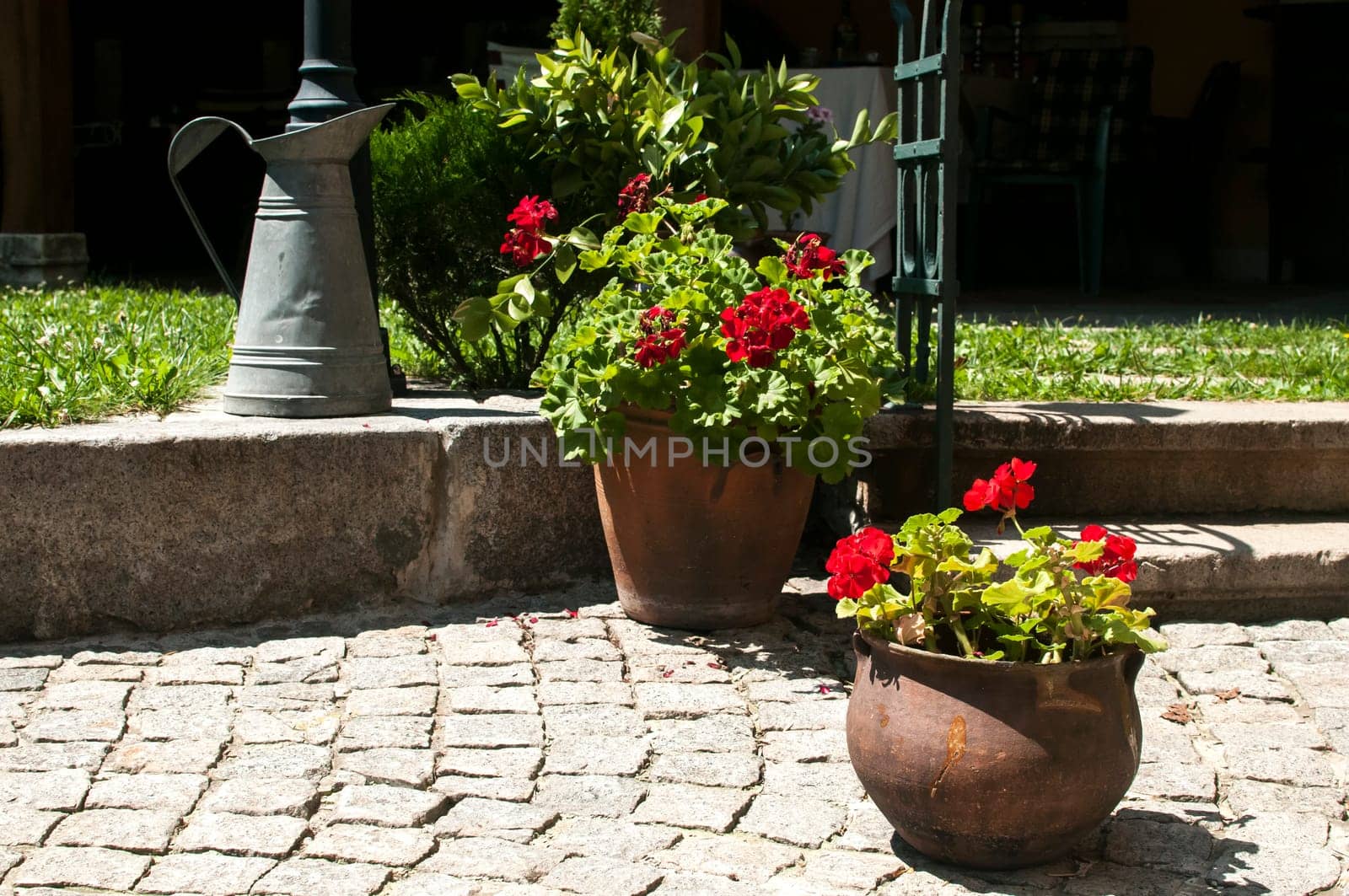 Corner of beautiful home garden details closeup