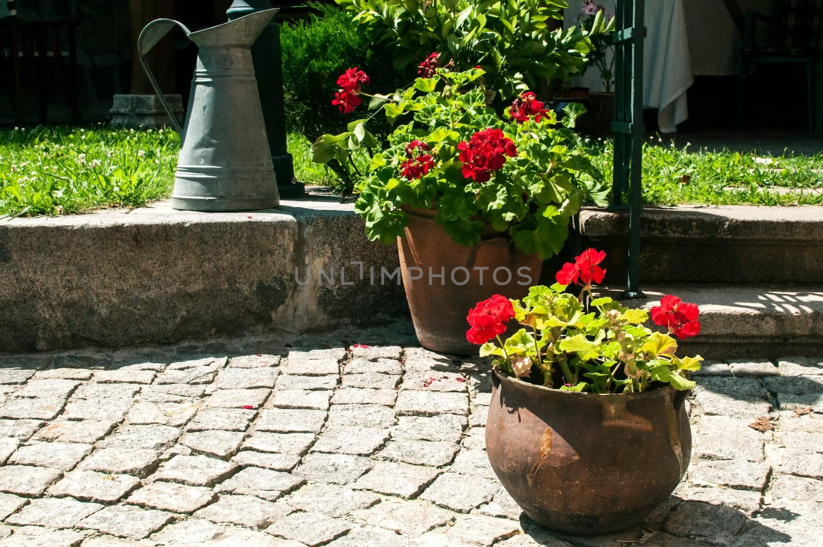 Corner of beautiful home garden details closeup