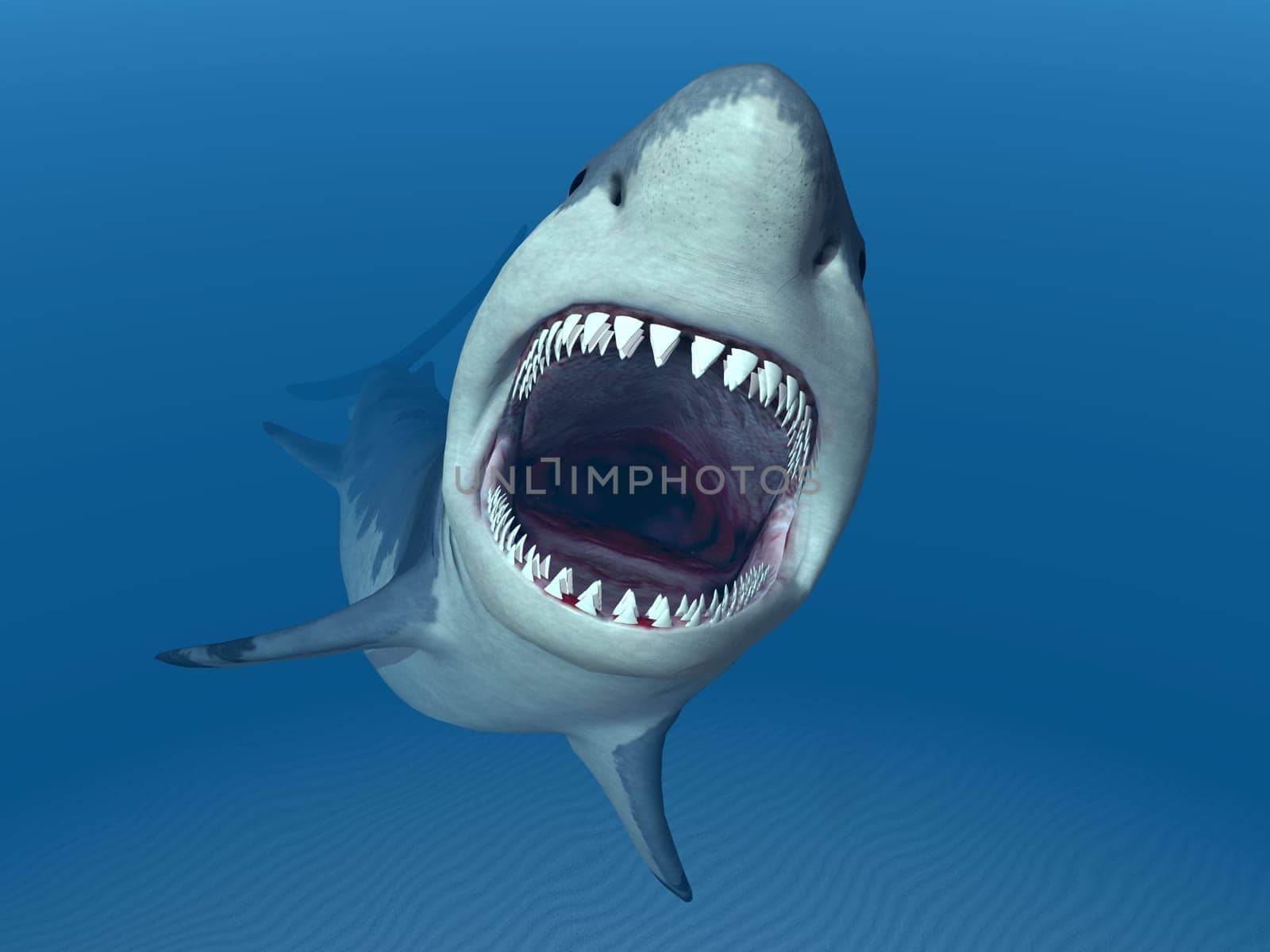 Computer-generated 3D illustration with a great white shark