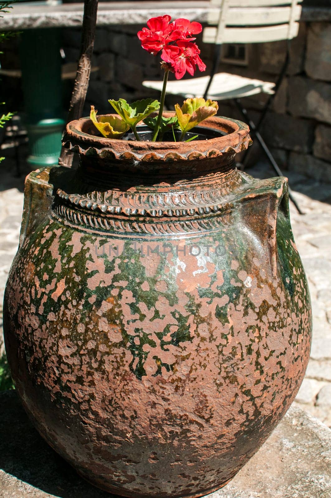 Old pottery with flower in garden closeup