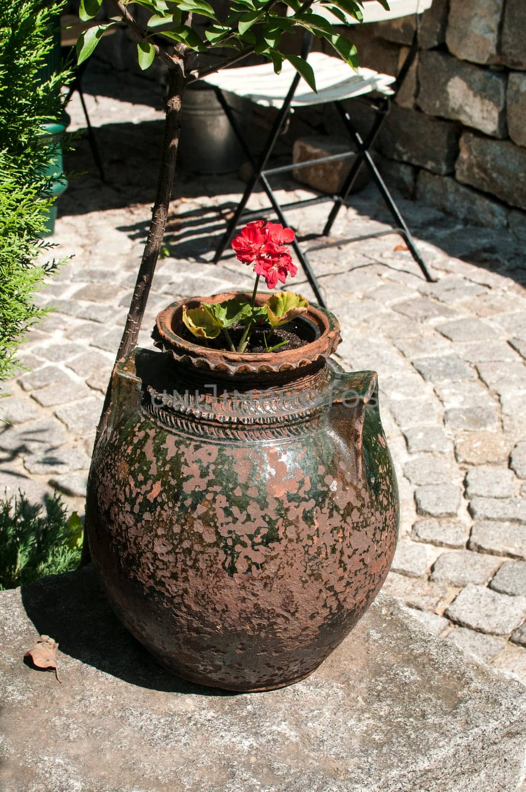 Old pottery with flower in garden closeup