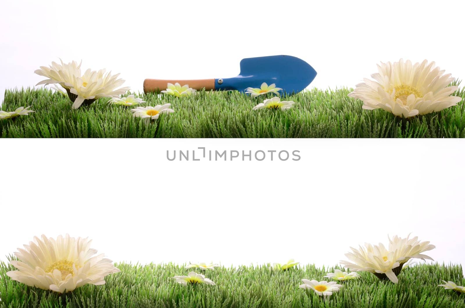 Green grass with flowers,spring time backgrounds over white