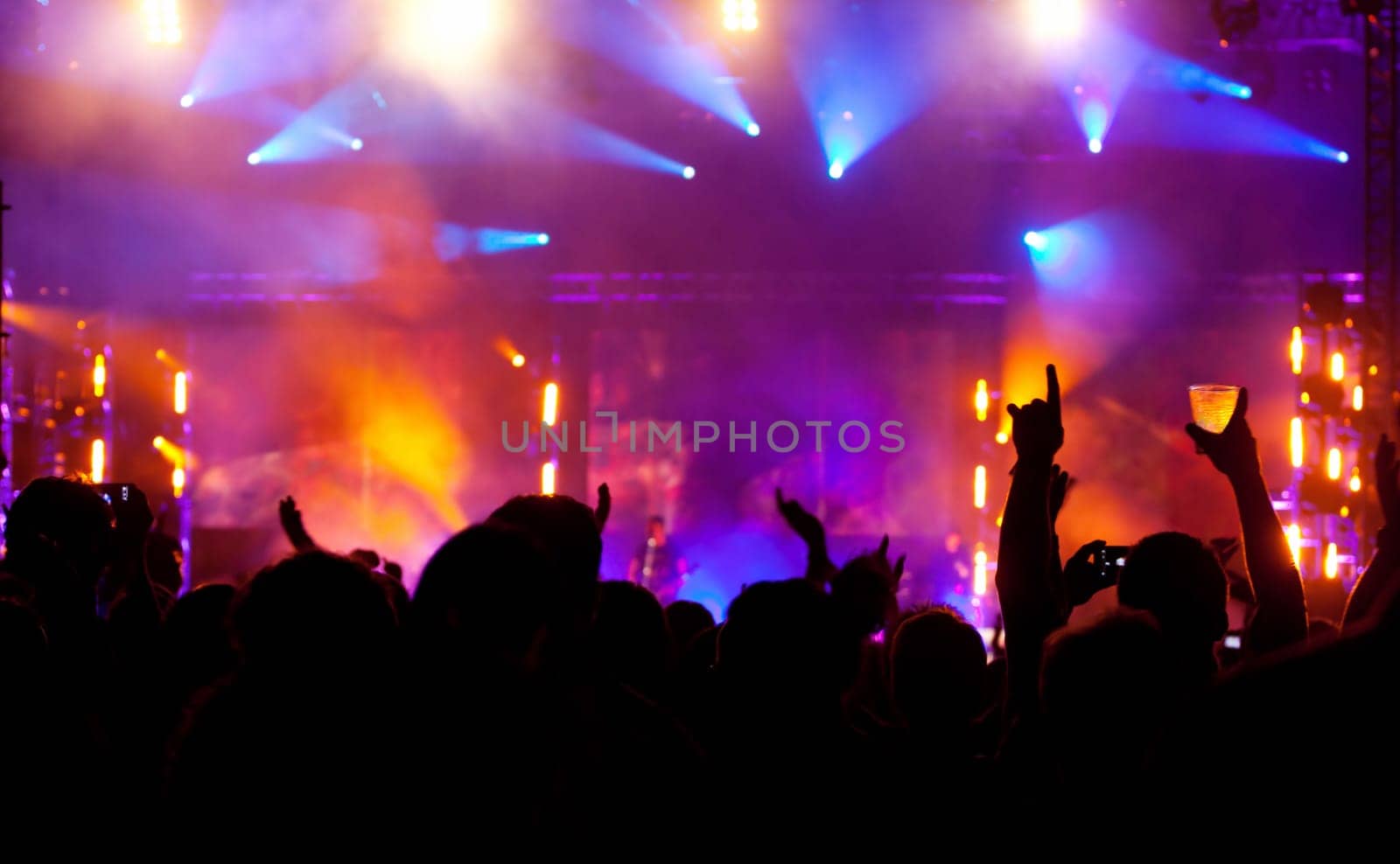 Cheering crowd in front of bright colorful stage lights