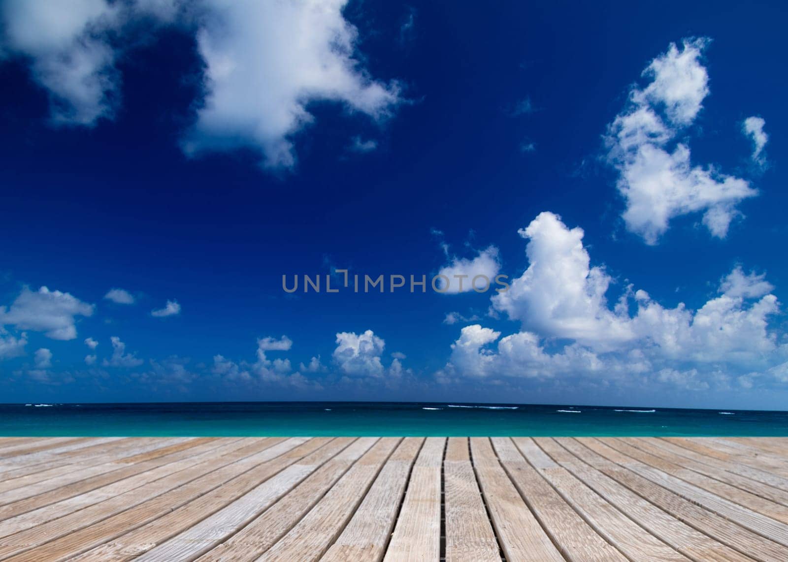 tropical sea under the blue sky