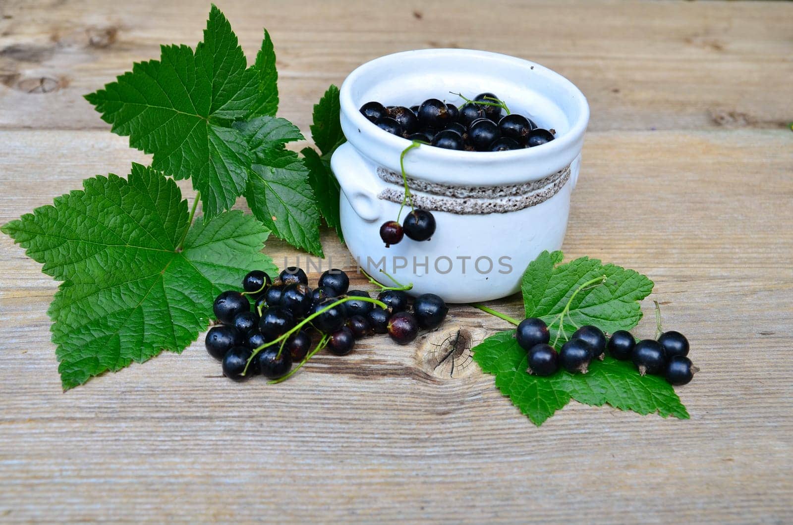 Blackcurrants