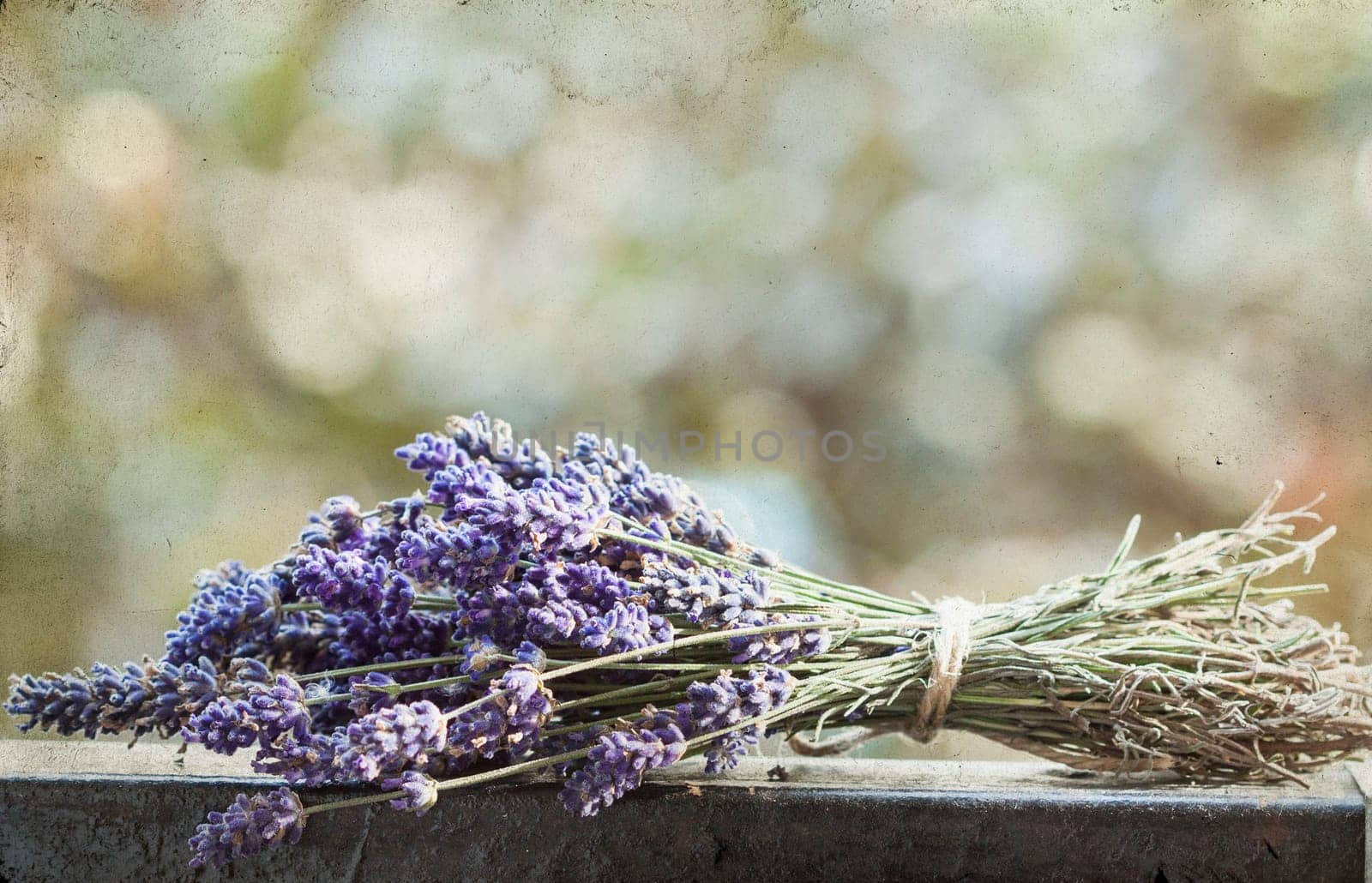 Vintage photo of lavender bouquet