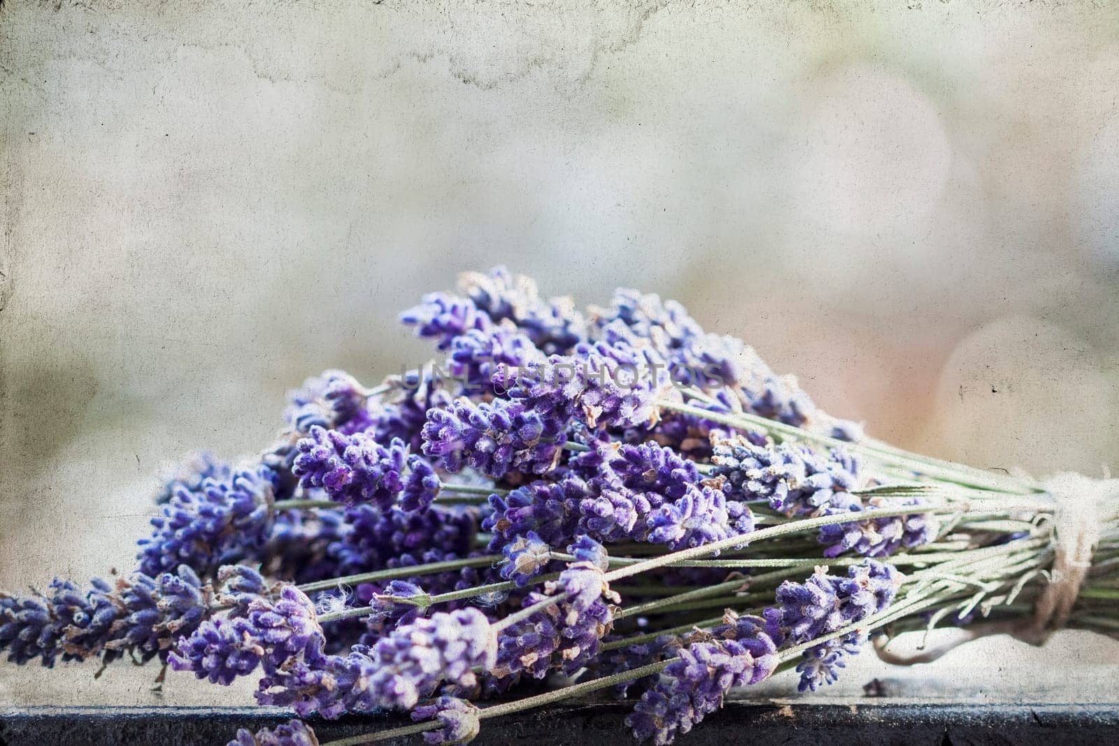 Vintage photo of lavender bouquet