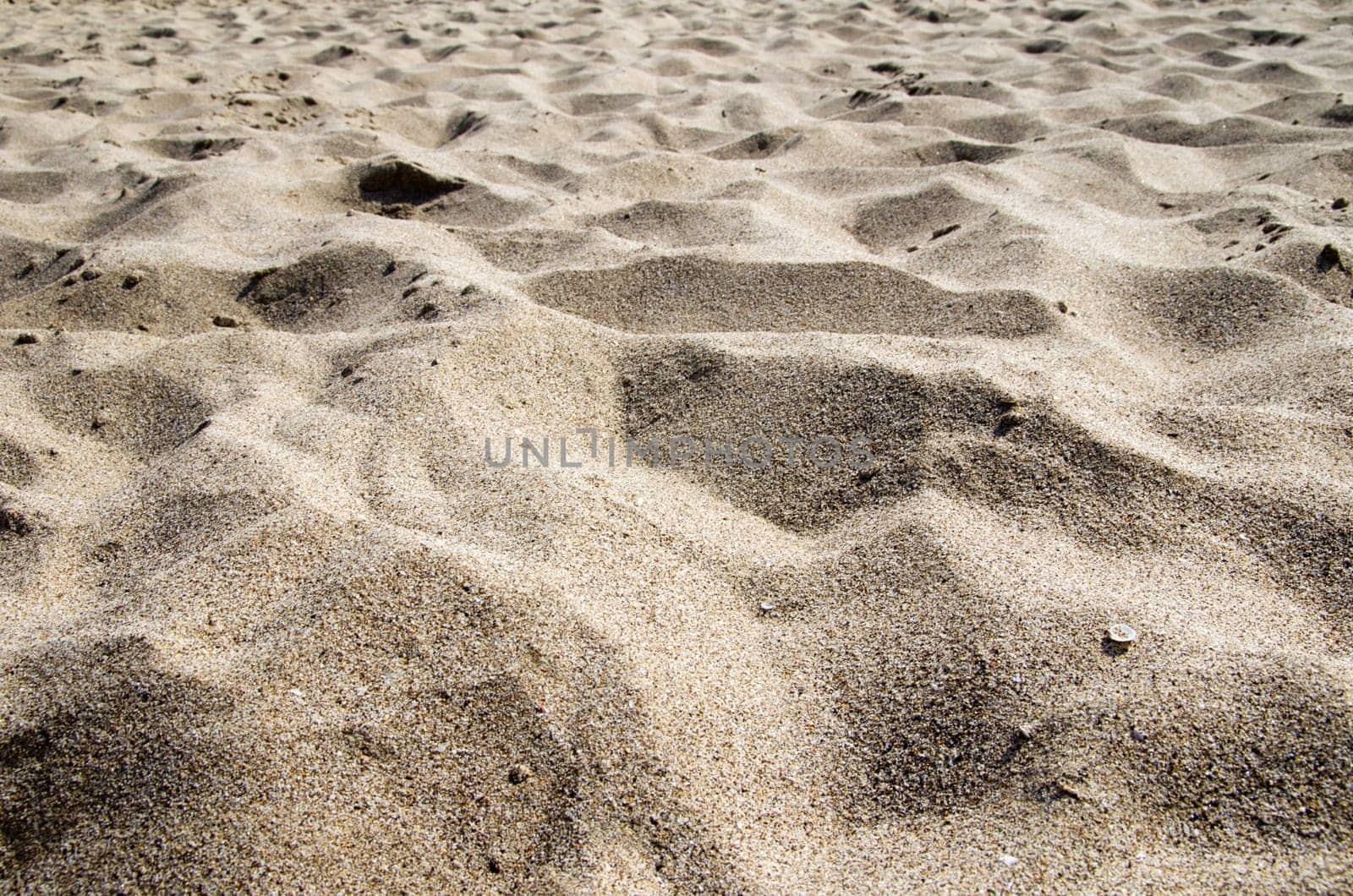 Close up shot of coral sand