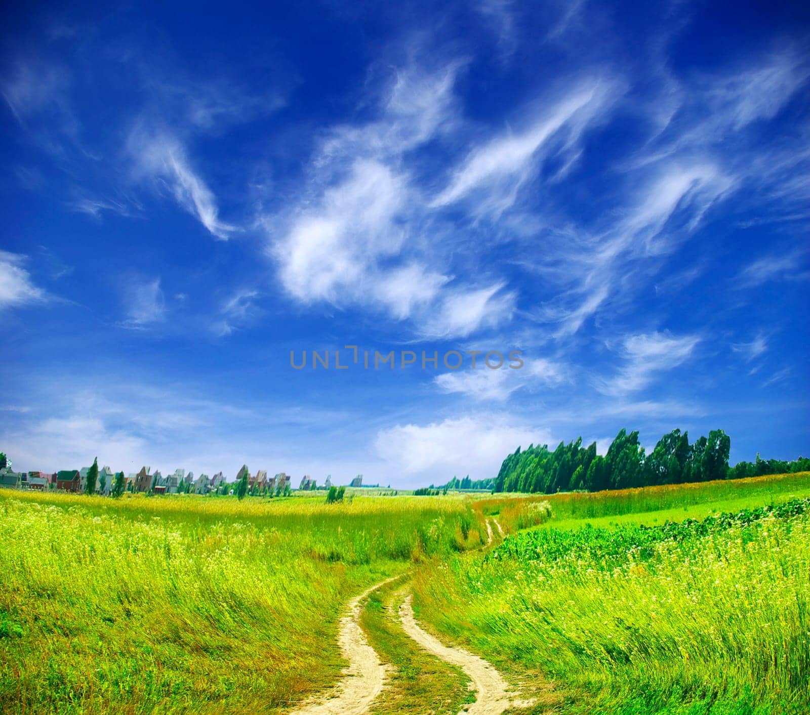 field on a background of the blue sky