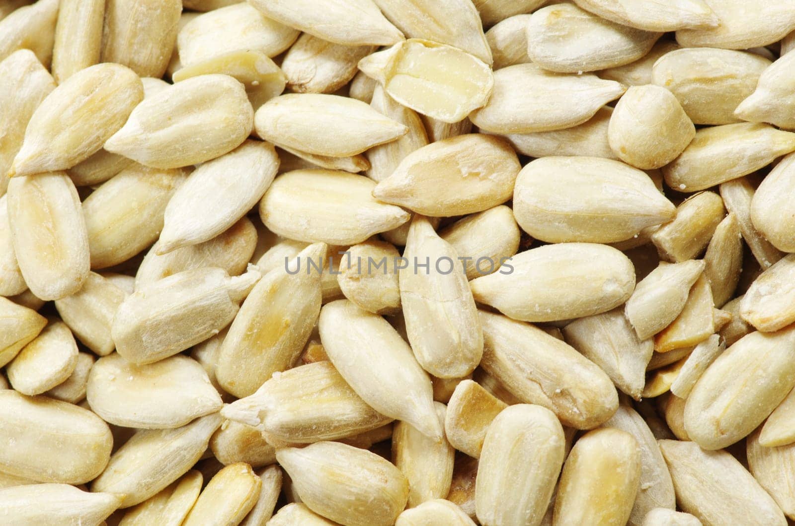 roasted sunflower seeds close up