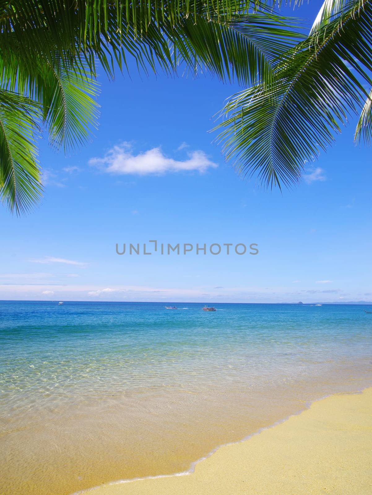 beautiful beach and tropical sea