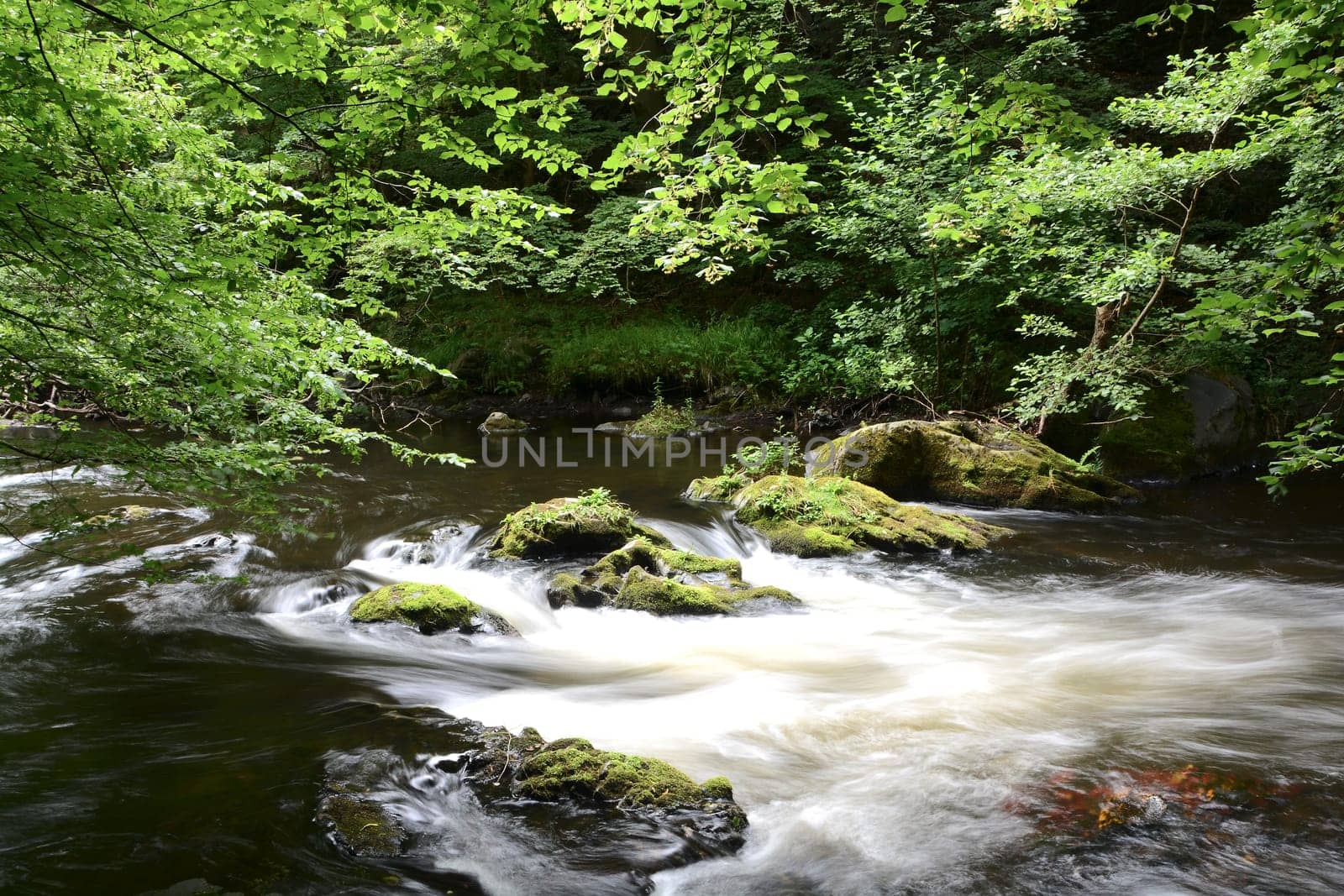 the river Bode in the Harz National Park