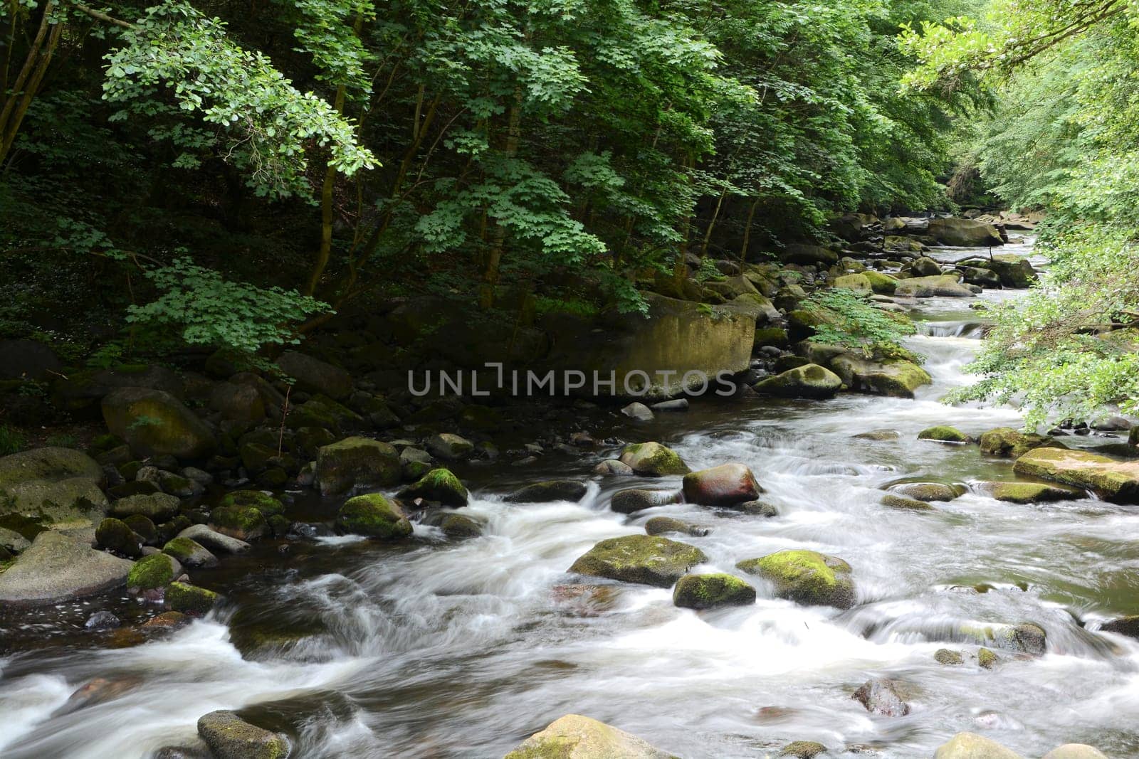 the river Bode in the Harz National Park