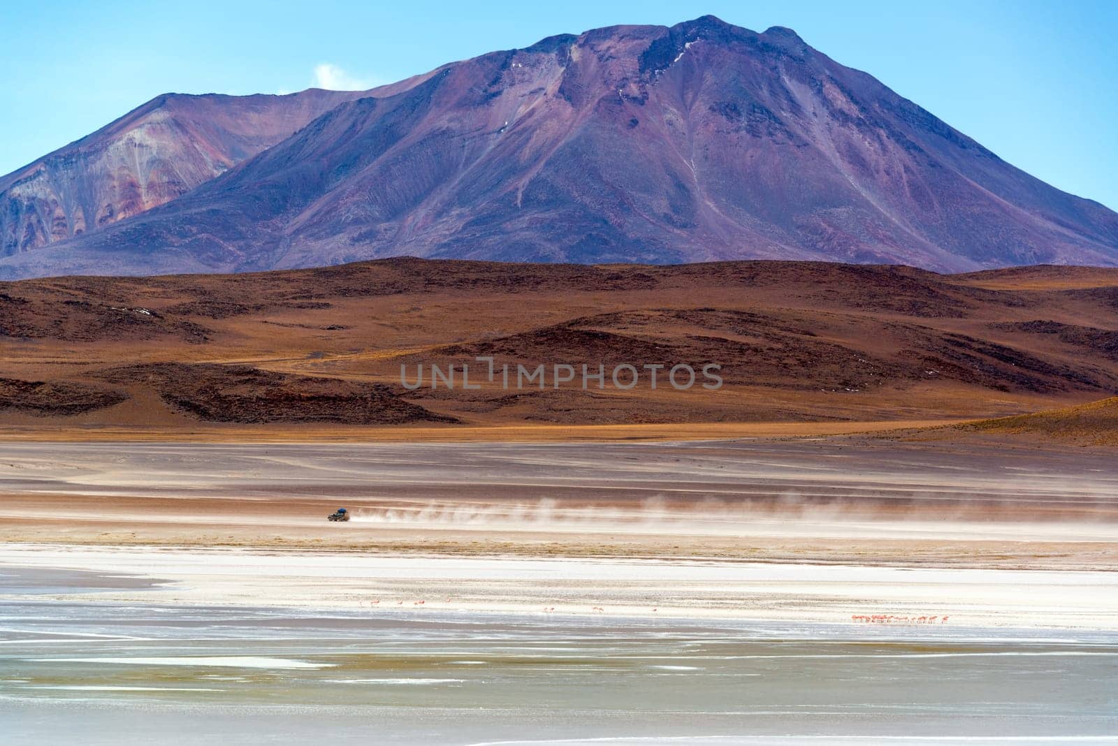 SUV driving across a desert in in Uyuni, Bolivia with a volcano in the background and flamingoes in the foreground