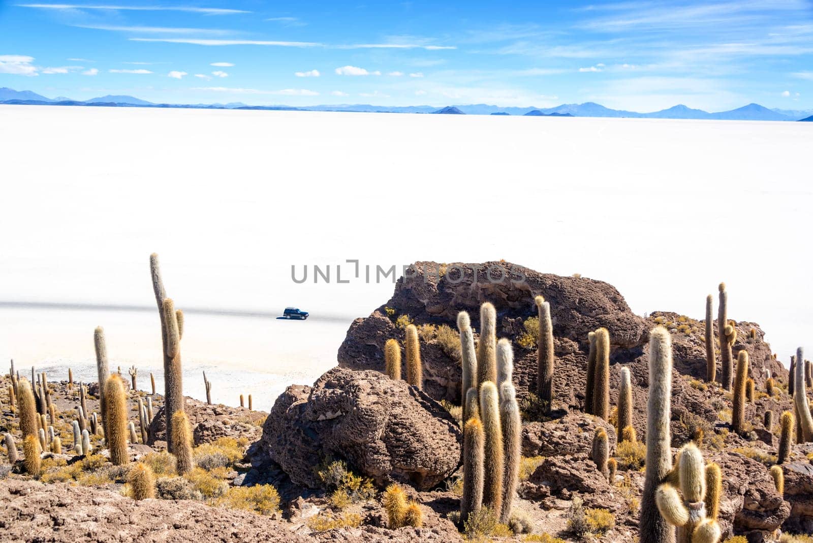 View of the Uyuni Salt Flat as seen from Incahuasi Island with and SUV passing by