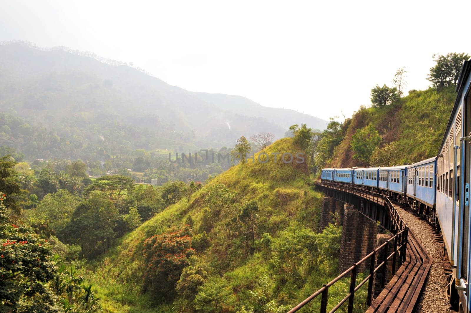 A Train passing on a bridge in the hill country of Sri Lanka with its tea plantations close to Ella