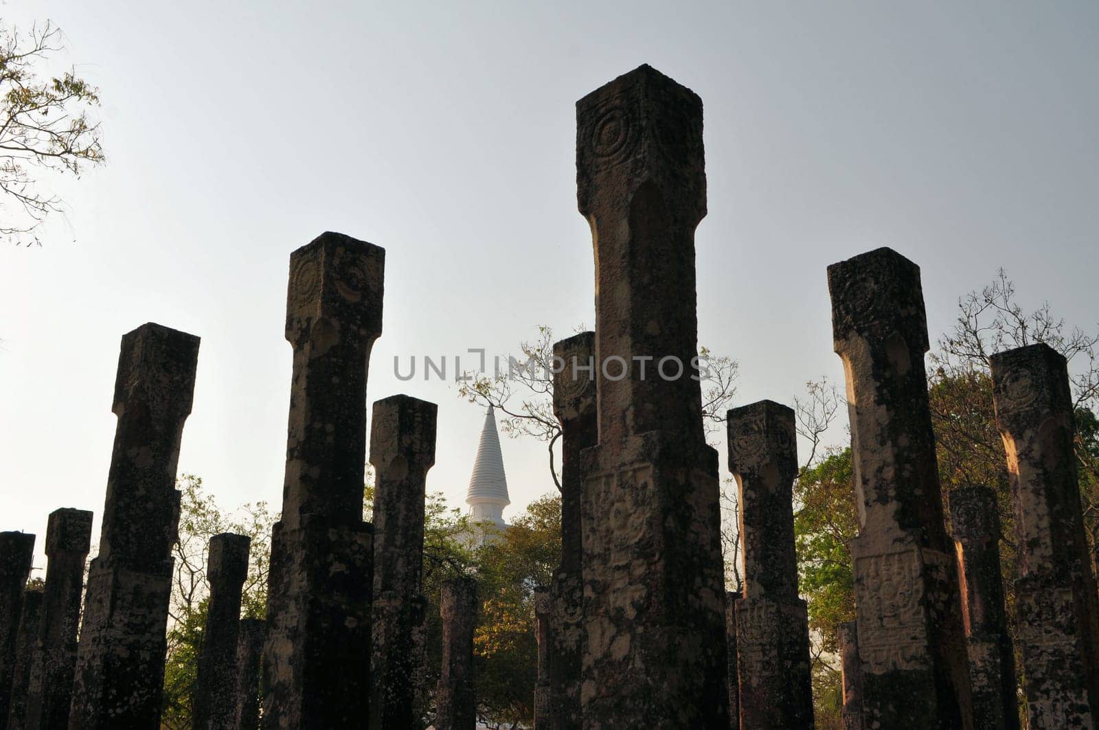 Pillars. Ruins. Ancient city of Polonnaruwa. Sri Lanka