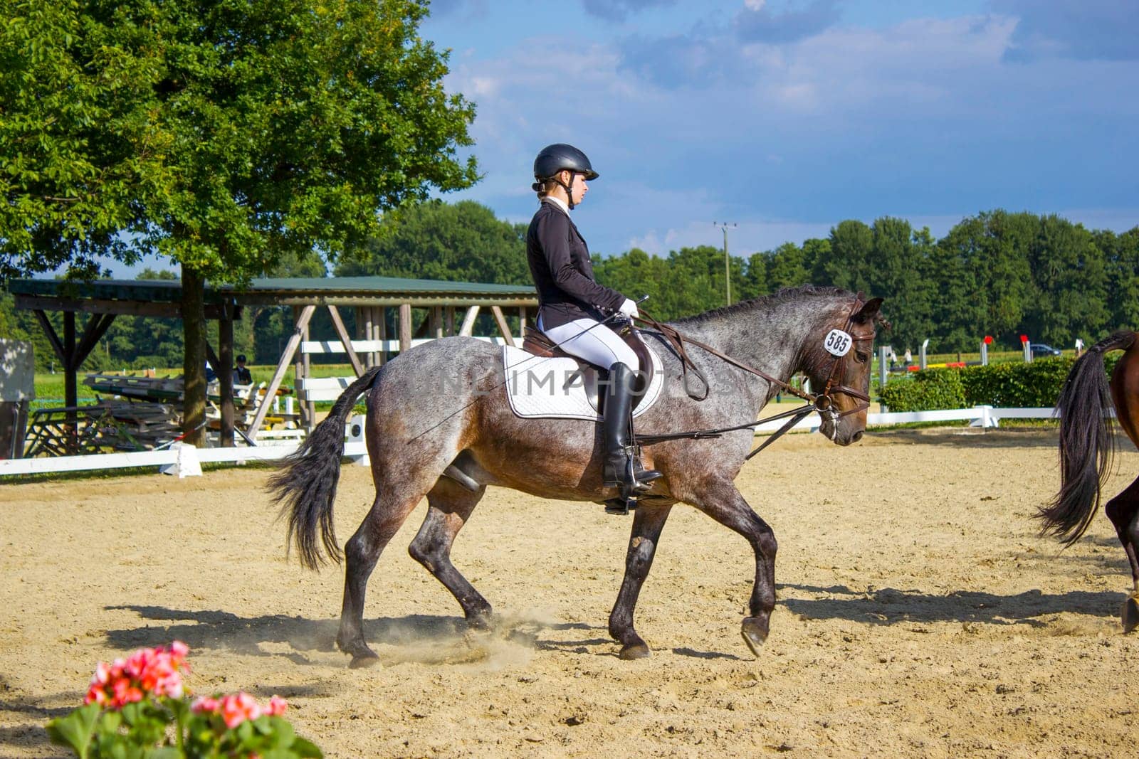 young girl riding a horse outdoors