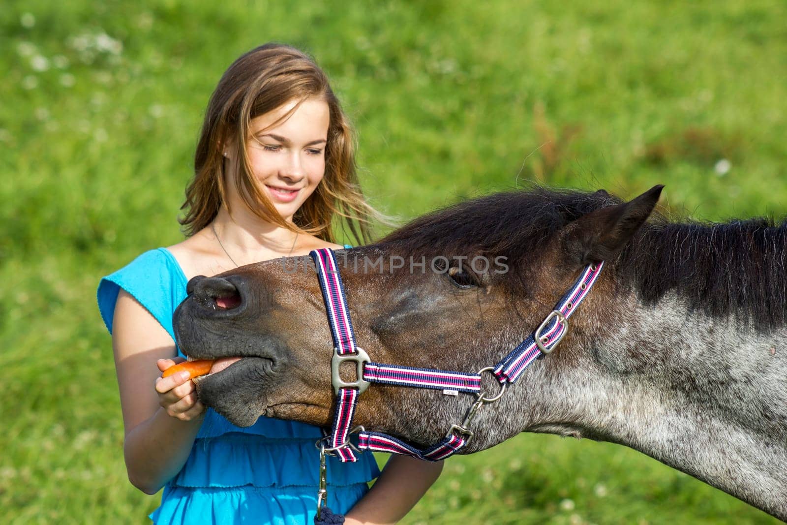 young girl giving a carrot to her horse