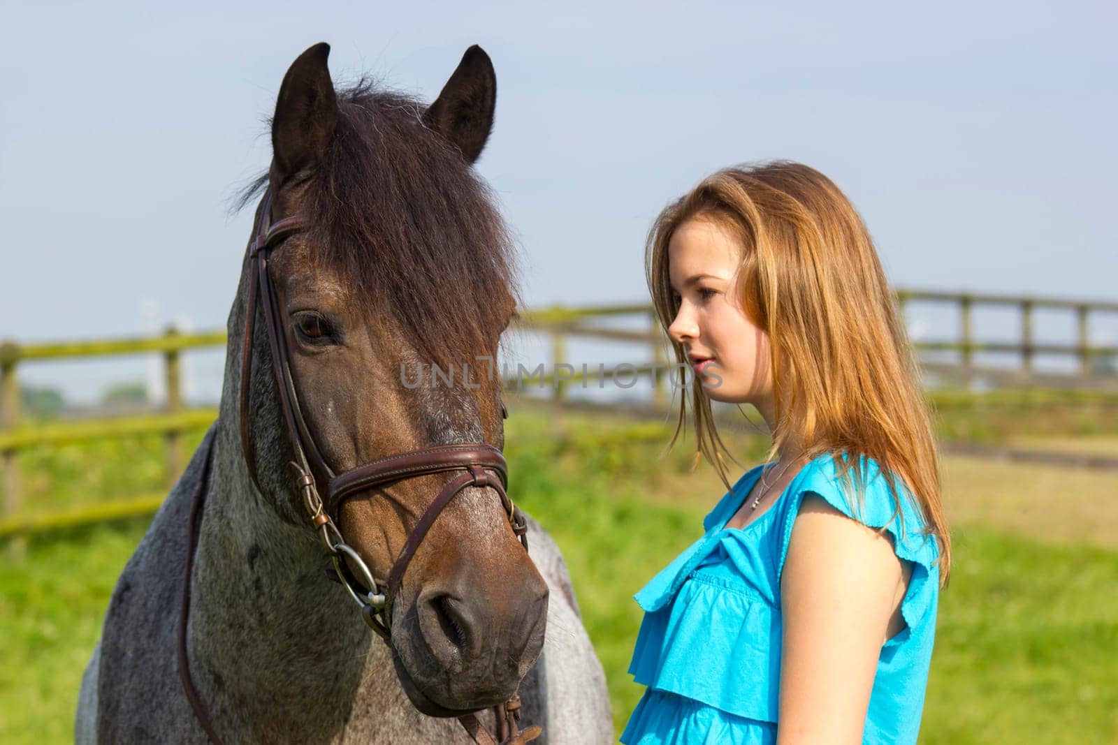 young girl and her horse