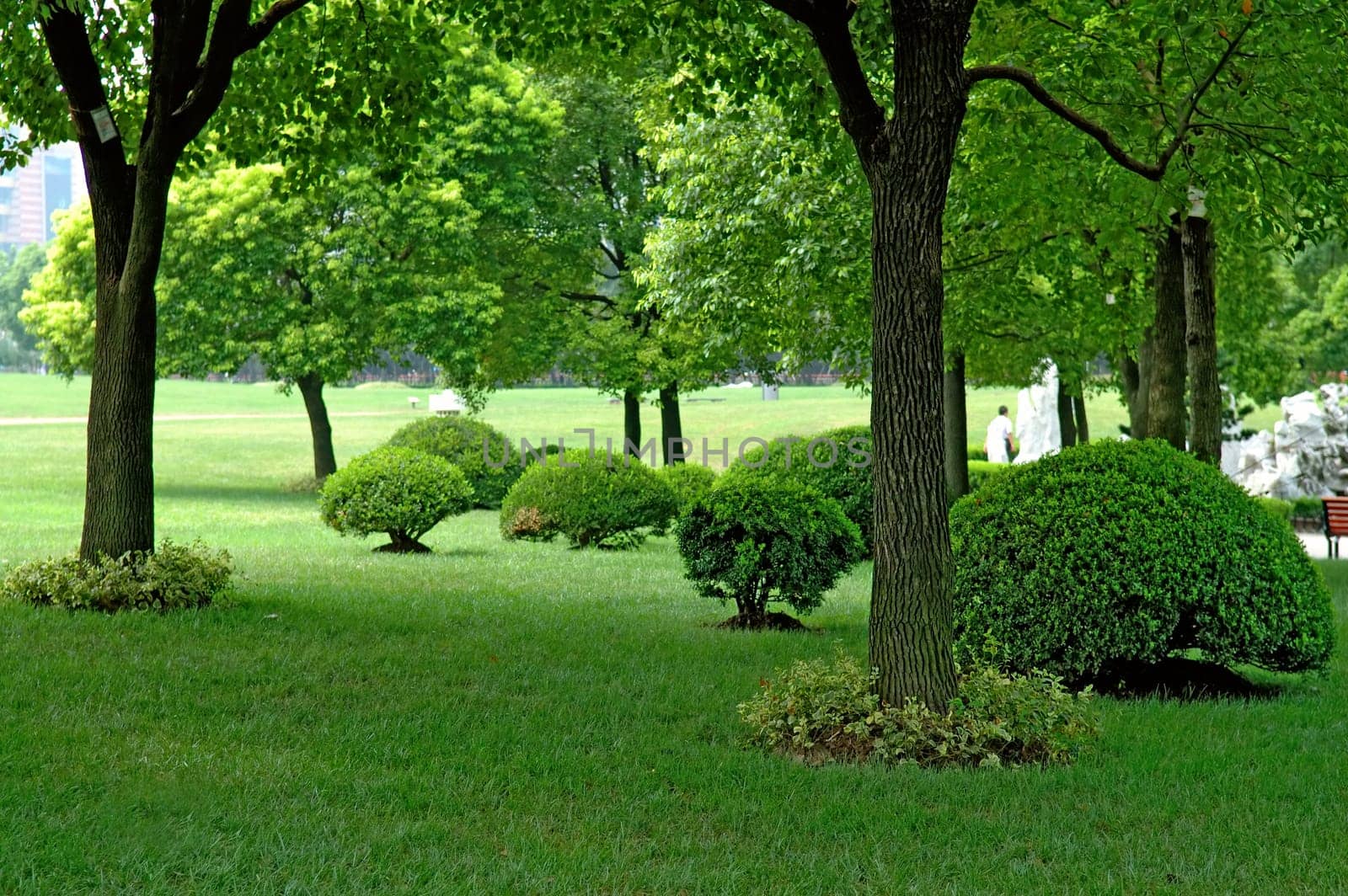 The panorama of trees and manicured plants in city park